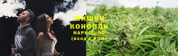 гидропоника Дмитриев