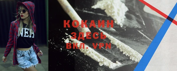 дмт Дмитровск