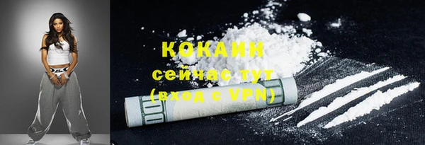 гидропоника Дмитриев