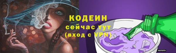 дмт Дмитровск