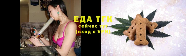 дмт Дмитровск