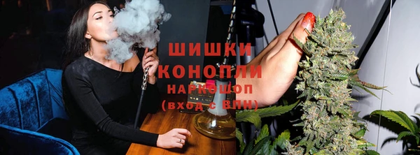 гидропоника Дмитриев