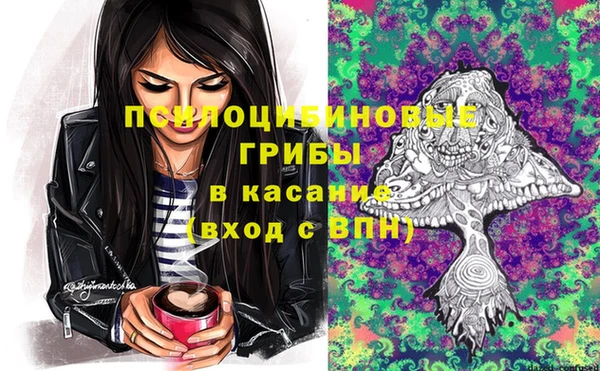 гидропоника Дмитриев